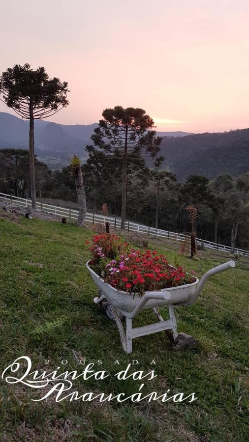 Chalé Quinta Araucarias
